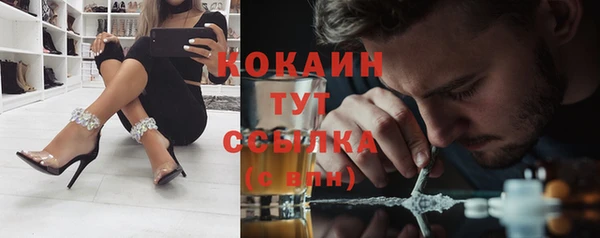 ГАЛЛЮЦИНОГЕННЫЕ ГРИБЫ Лагань