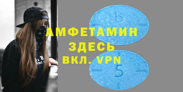 ГАЛЛЮЦИНОГЕННЫЕ ГРИБЫ Лагань