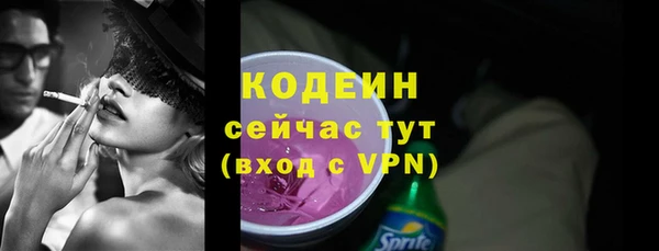 ГАЛЛЮЦИНОГЕННЫЕ ГРИБЫ Лагань