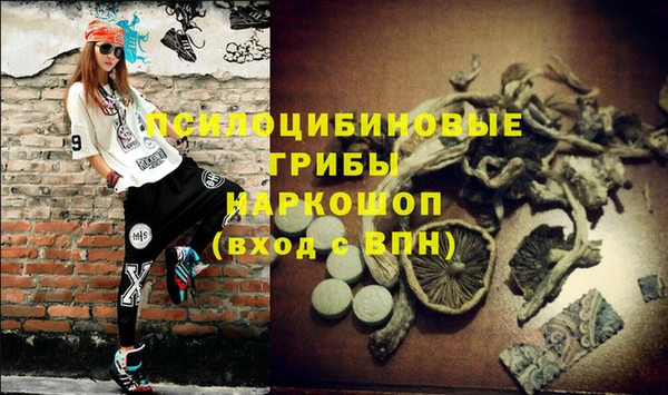 мяу мяу мука Краснотурьинск