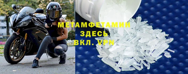 ГАЛЛЮЦИНОГЕННЫЕ ГРИБЫ Лагань