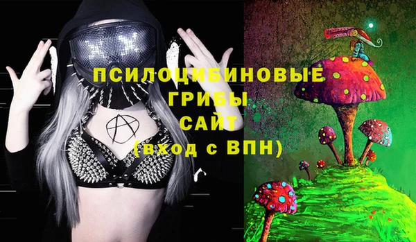 ГАЛЛЮЦИНОГЕННЫЕ ГРИБЫ Лагань