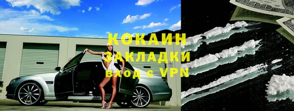 ГАЛЛЮЦИНОГЕННЫЕ ГРИБЫ Лагань