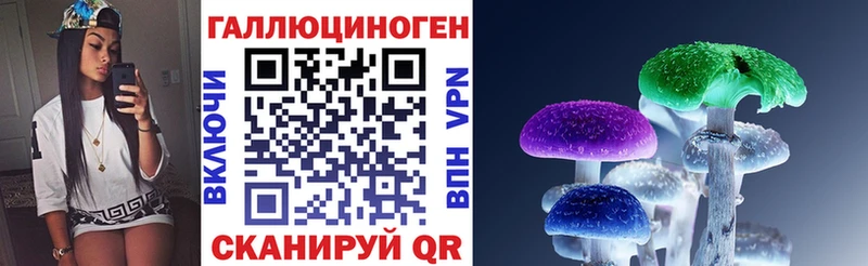 Галлюциногенные грибы Psilocybe  Курчатов 